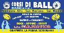 volantino 2013 generico